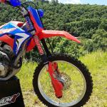 Protetor de Bengala CRF 250F/XR250/XRE300 AMX Vermelho